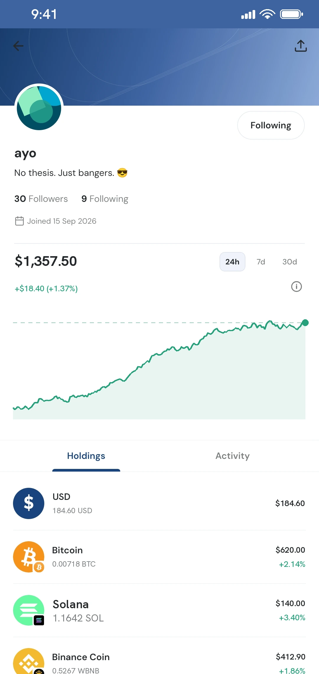 A Daya Coins profile, showing the holdings its owner has chosen to make public